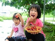 星野リゾートのプレスリリース画像5