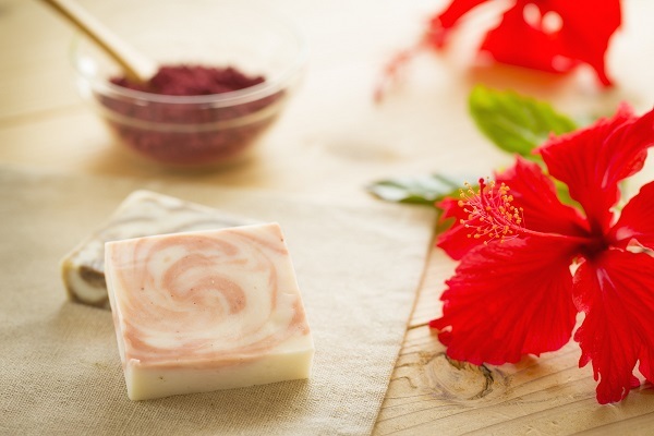 星野リゾートのプレスリリース画像4