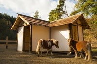 星野リゾートのプレスリリース画像3