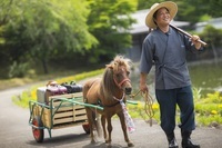 星野リゾートのプレスリリース画像2