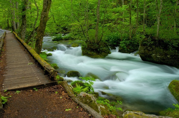 星野リゾートのプレスリリース画像3