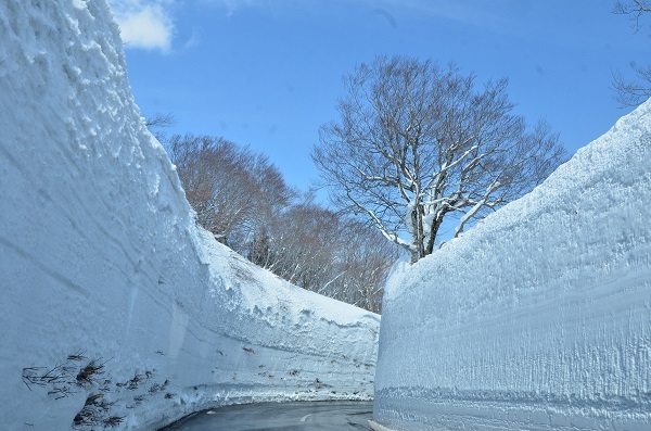 星野リゾートのプレスリリース画像2