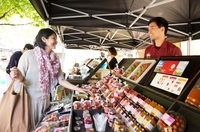 星野リゾートのプレスリリース画像2