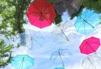 星野リゾートのプレスリリース画像2