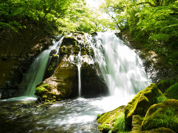 星野リゾートのプレスリリース画像1