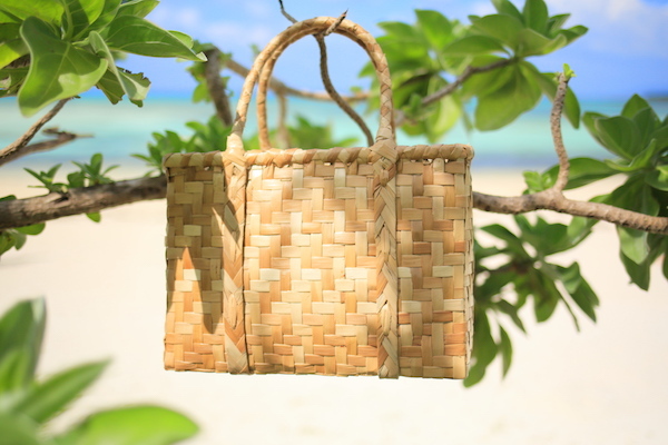 星野リゾートのプレスリリース画像1