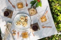 星野リゾートのプレスリリース画像1