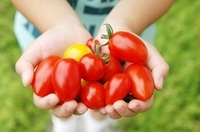 星野リゾートのプレスリリース画像3