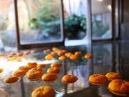 星野リゾートのプレスリリース画像2