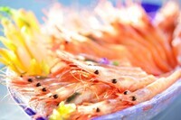 星野リゾートのプレスリリース画像3