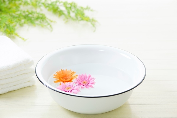 星野リゾートのプレスリリース画像2