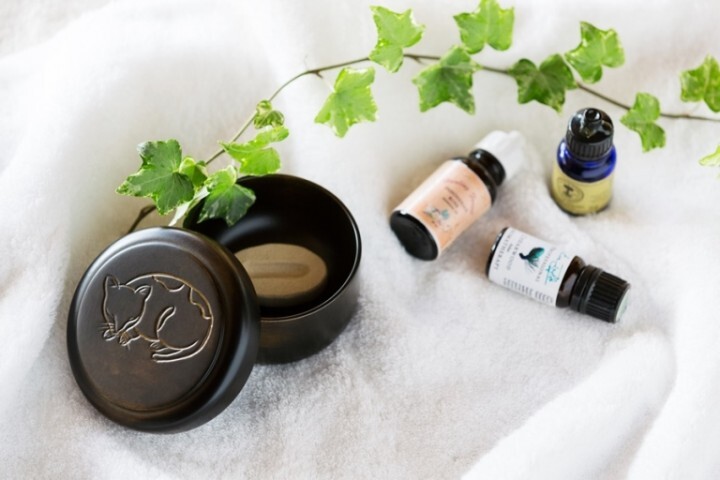 星野リゾートのプレスリリース画像6