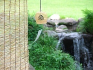 星野リゾートのプレスリリース画像4