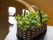 星野リゾートのプレスリリース画像4