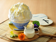 星野リゾートのプレスリリース画像2