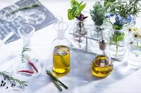 星野リゾートのプレスリリース画像4