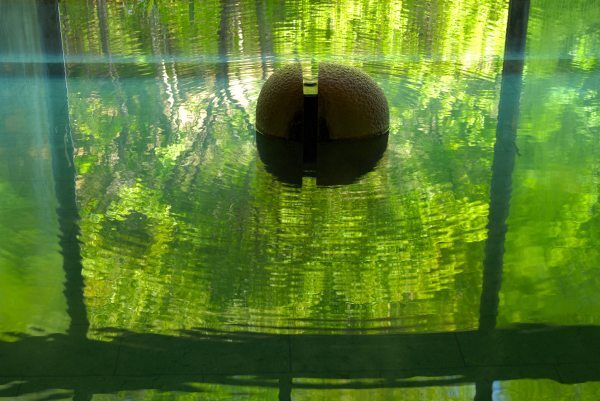 星野リゾートのプレスリリース画像1