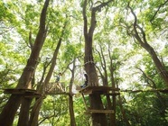 星野リゾートのプレスリリース画像4