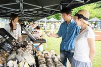 星野リゾートのプレスリリース画像2