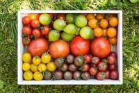 星野リゾートのプレスリリース画像1