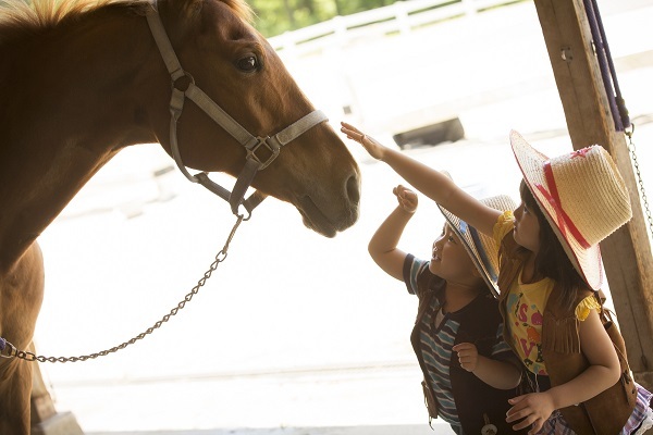 星野リゾートのプレスリリース画像1