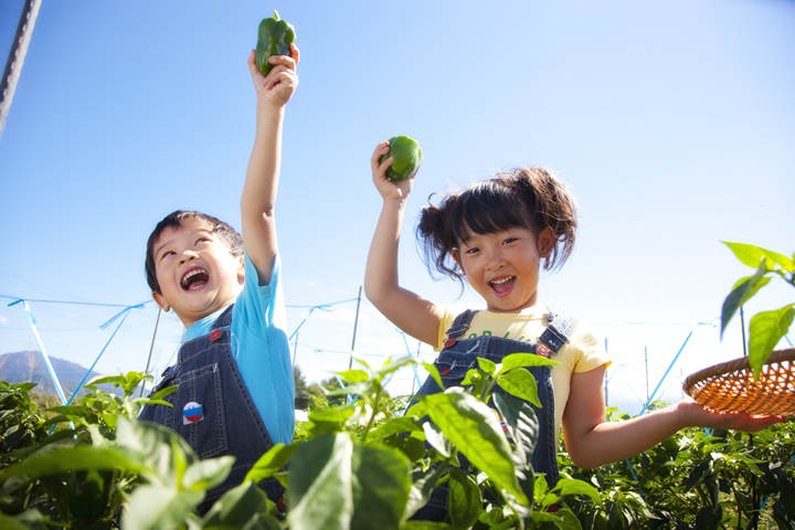 星野リゾートのプレスリリース画像5