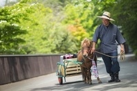 星野リゾートのプレスリリース画像5