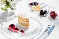 星野リゾートのプレスリリース画像3