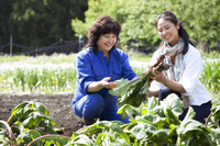 星野リゾートのプレスリリース画像2