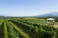 星野リゾートのプレスリリース画像1