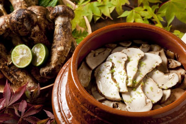 星野リゾートのプレスリリース画像4