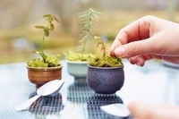 星野リゾートのプレスリリース画像4