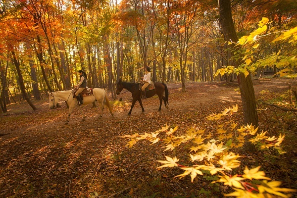 星野リゾートのプレスリリース画像1