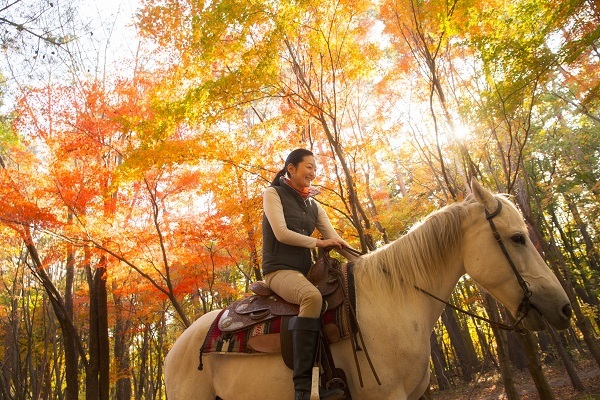 星野リゾートのプレスリリース画像2