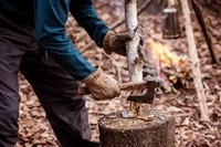 星野リゾートのプレスリリース画像4