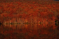 星野リゾートのプレスリリース画像2