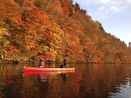 星野リゾートのプレスリリース画像3