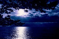 星野リゾートのプレスリリース画像2