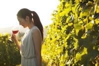 星野リゾートのプレスリリース画像1