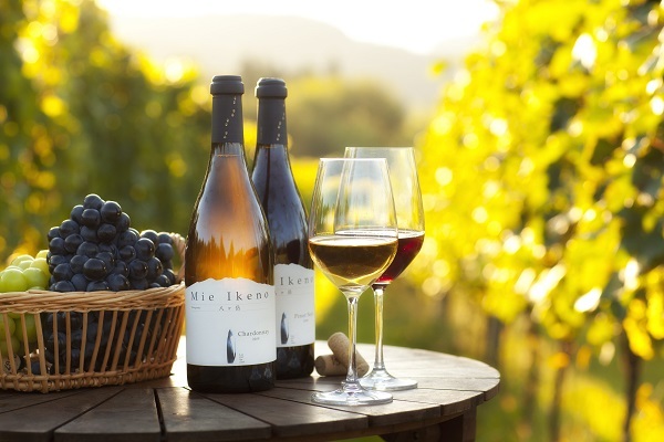 星野リゾートのプレスリリース画像2