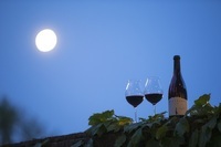 星野リゾートのプレスリリース画像9