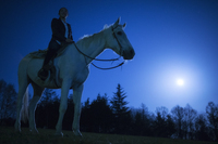 星野リゾートのプレスリリース画像7