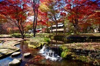 星野リゾートのプレスリリース画像7