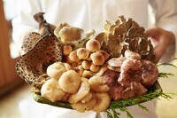 星野リゾートのプレスリリース画像4