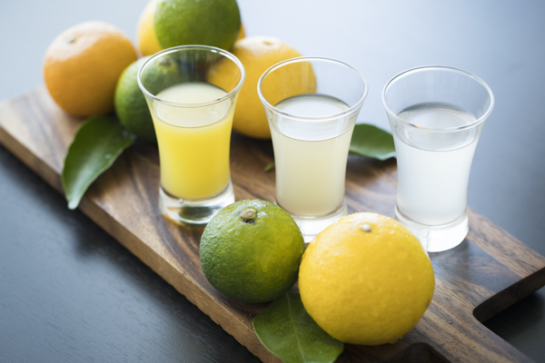 星野リゾートのプレスリリース画像2