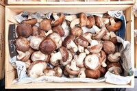 星野リゾートのプレスリリース画像1