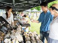 星野リゾートのプレスリリース画像3