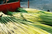 星野リゾートのプレスリリース画像5