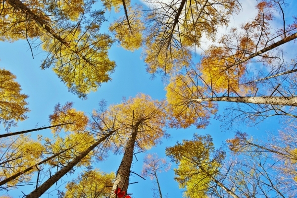 星野リゾートのプレスリリース画像3