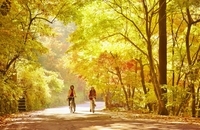 星野リゾートのプレスリリース画像1